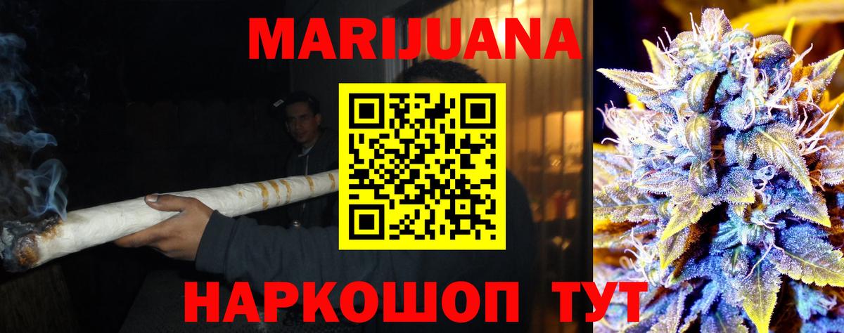 Каннабис сатива Кунгур